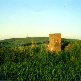 Decoy airfield at Halls Farm. Surface remains.jpg